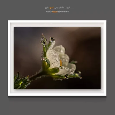 تابلو مینیمال و لوکس - گل توت فرنگی – تابلو گل - اسپو دکور