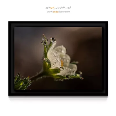 تابلو مینیمال و لوکس - گل توت فرنگی – تابلو گل - اسپو دکور