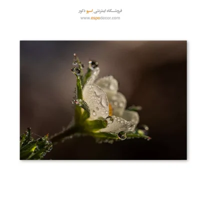 تابلو گل