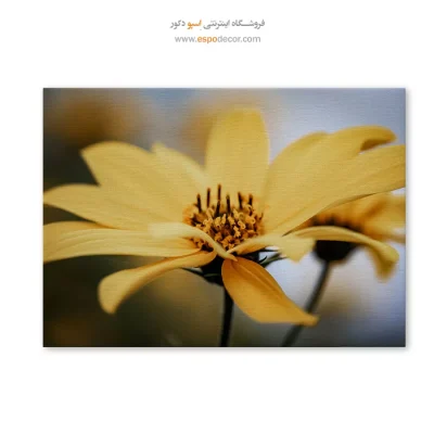 تابلو گل