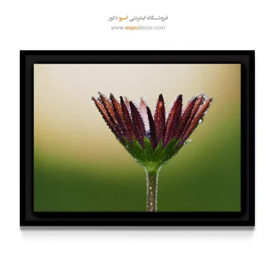 خرید تابلو برای باشگاه یوگا - گل بابونه – تابلو گل - اسپو دکور