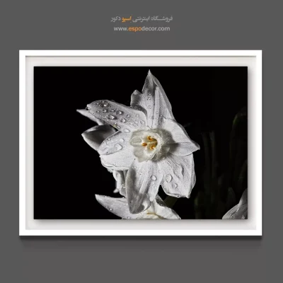 خرید تابلو لابی هتل - نرگس سفید – تابلو گل - اسپو دکور