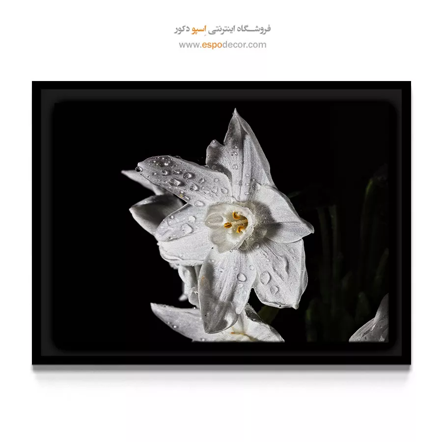 خرید تابلو لابی هتل - نرگس سفید – تابلو گل - اسپو دکور