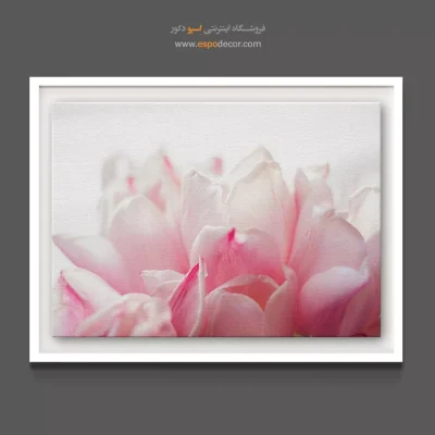 خرید تابلو دکوراتیو لاله - لاله صورتی – تابلو گل - اسپو دکور
