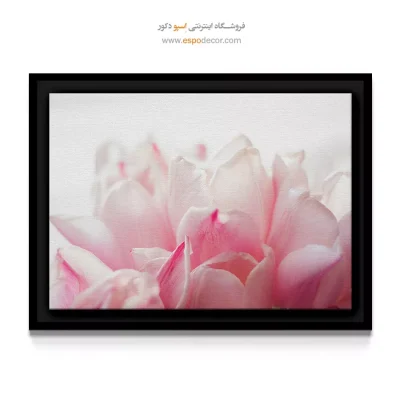 خرید تابلو دکوراتیو لاله - لاله صورتی – تابلو گل - اسپو دکور
