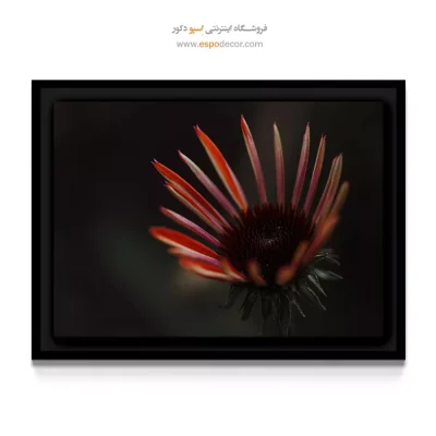 تابلو دکوراسیون پاییزی - اکیناسه – تابلو گل - اسپو دکور