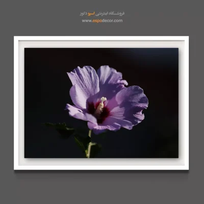 تابلو لابی مجلل یاسی - گل ختمی بنفش – تابلو گل - اسپو دکور