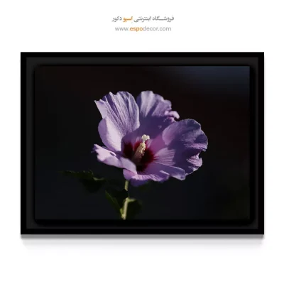 تابلو لابی مجلل یاسی - گل ختمی بنفش – تابلو گل - اسپو دکور