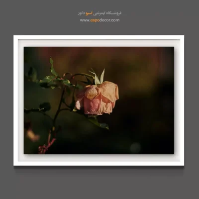 تابلو سبک احساسی - غنچه گل رز – تابلو گل - اسپو دکور