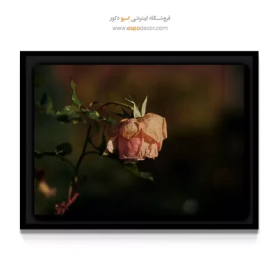 تابلو سبک احساسی - غنچه گل رز – تابلو گل - اسپو دکور