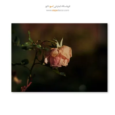 تابلو گل