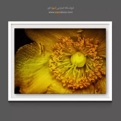 خرید تابلو دکوراتیو زرد - یاس بهشتی – تابلو گل - اسپو دکور