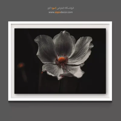 تابلو دکوراسیون سینمایی - گل خاکستری – تابلو گل - اسپو دکور