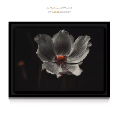 تابلو دکوراسیون سینمایی - گل خاکستری – تابلو گل - اسپو دکور