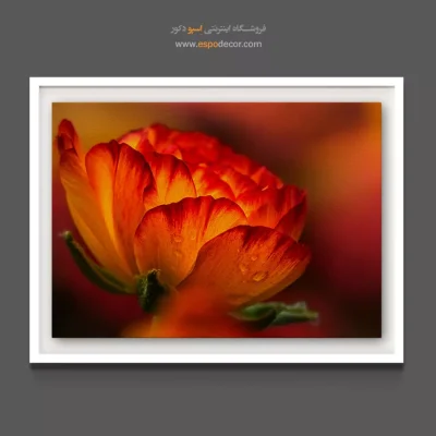 خرید تابلو با تم رنگی گرم - گل دکمه‌ای – تابلو گل - اسپو دکور