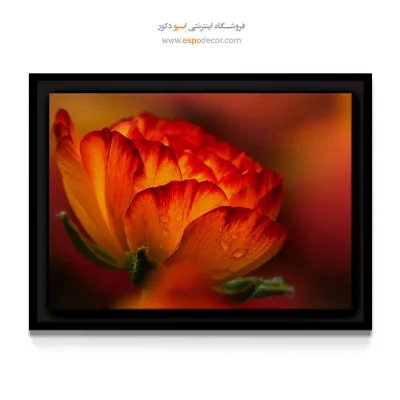 خرید تابلو با تم رنگی گرم - گل دکمه‌ای – تابلو گل - اسپو دکور