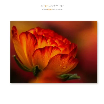 تابلو گل