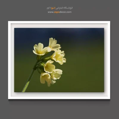 خرید دکور برای آشپزخانه - گل پامچال پاستلی – تابلو گل - اسپو دکور