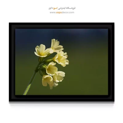 خرید دکور برای آشپزخانه - گل پامچال پاستلی – تابلو گل - اسپو دکور