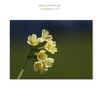 تابلو گل