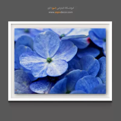 تابلو برای دکور ویلا - گل ادریسی – تابلو گل - اسپو دکور