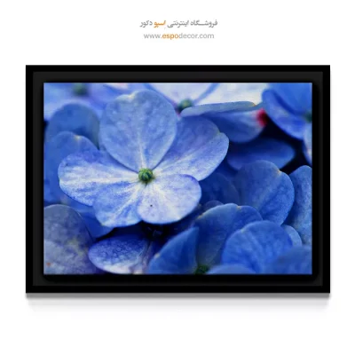 تابلو برای دکور ویلا - گل ادریسی – تابلو گل - اسپو دکور