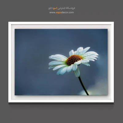 تابلو مینیمال سرد - گل دِیزی – تابلو گل - اسپو دکور