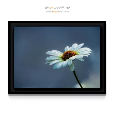 تابلو مینیمال سرد - گل دِیزی – تابلو گل - اسپو دکور