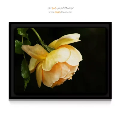تابلو زرد پاستلی - رز زرد لوکس – تابلو گل - اسپو دکور