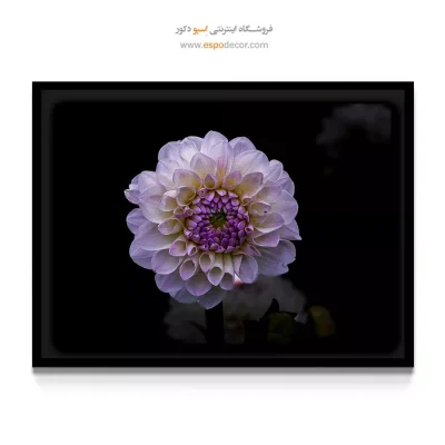 تابلو برای اتاق نشیمن مدرن تیره - کوکب پُم پُم – تابلو گل - اسپو دکور