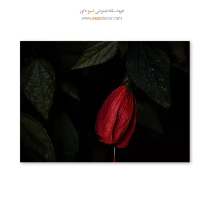 تابلو گل