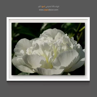 خرید هدیه برای خانه عروس - صدتومانی سفید – تابلو گل - اسپو دکور