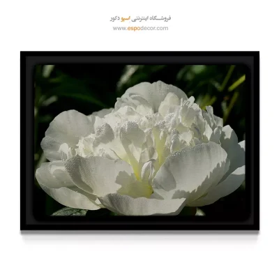 خرید هدیه برای خانه عروس - صدتومانی سفید – تابلو گل - اسپو دکور