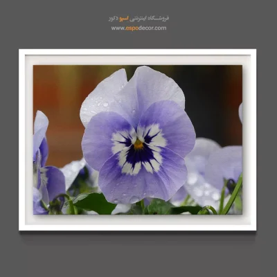 تابلو مناسب اتاق خواب دخترانه - بنفشه – تابلو گل - اسپو دکور