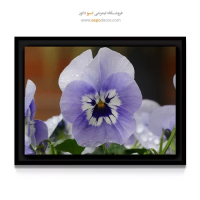 تابلو مناسب اتاق خواب دخترانه - بنفشه – تابلو گل - اسپو دکور