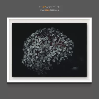 تابلو مناسب دفتر کار مردانه - هورتانسیا کروی – تابلو گل - اسپو دکور