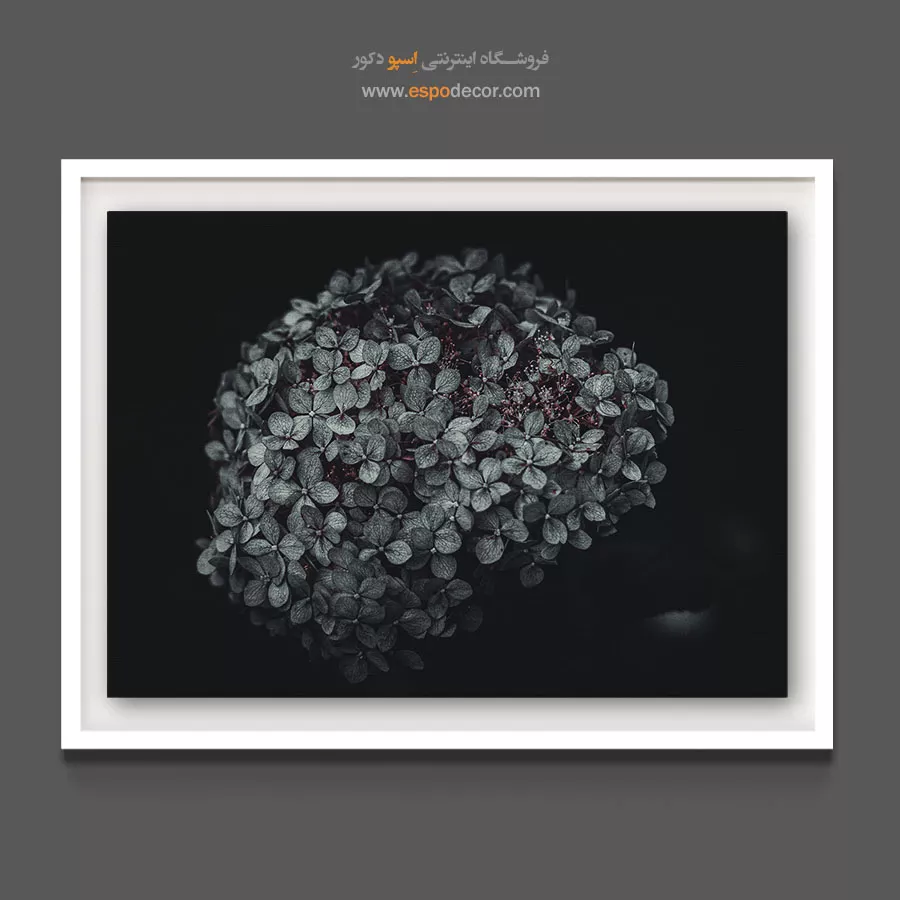 تابلو مناسب دفتر کار مردانه - هورتانسیا کروی – تابلو گل - اسپو دکور