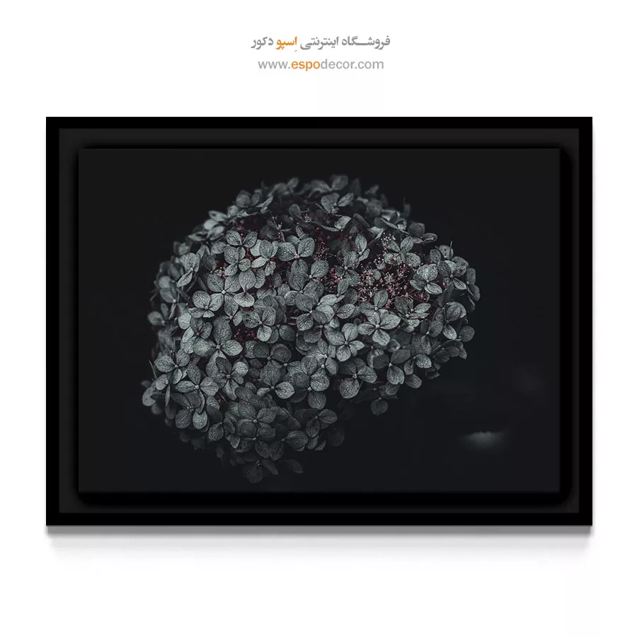 تابلو مناسب دفتر کار مردانه - هورتانسیا کروی – تابلو گل - اسپو دکور