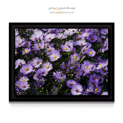 تابلو مناسب برای ورودی خانه - گلزار آستر – تابلو گل - اسپو دکور