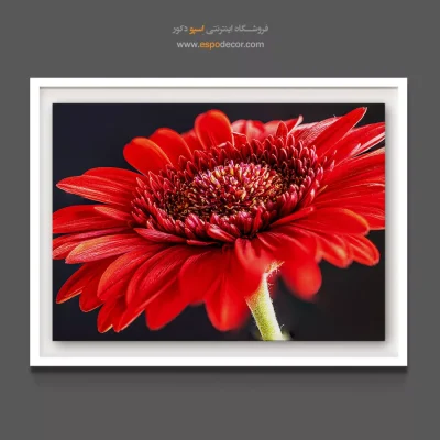 تابلو مناسب اتاق گیمینگ - ژربرا – تابلو گل - اسپو دکور