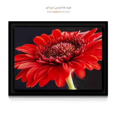 تابلو مناسب اتاق گیمینگ - ژربرا – تابلو گل - اسپو دکور