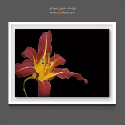 خرید تابلو دکوراتیو گل سوسن قرمز - سوسن با حشره – تابلو گل - اسپو دکور