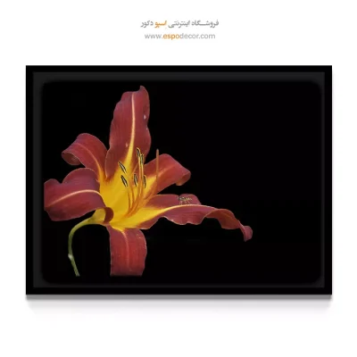 خرید تابلو دکوراتیو گل سوسن قرمز - سوسن با حشره – تابلو گل - اسپو دکور