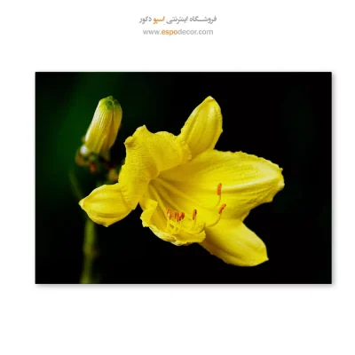 تابلو گل