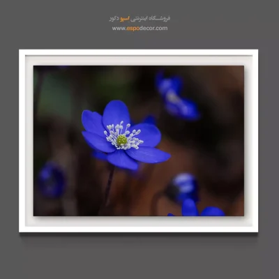 تابلو رنگ آبی سلطنتی - گل بنفشه کوهی – تابلو گل - اسپو دکور