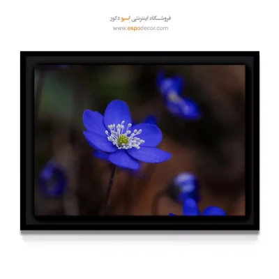 تابلو رنگ آبی سلطنتی - گل بنفشه کوهی – تابلو گل - اسپو دکور