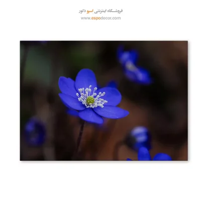 تابلو گل