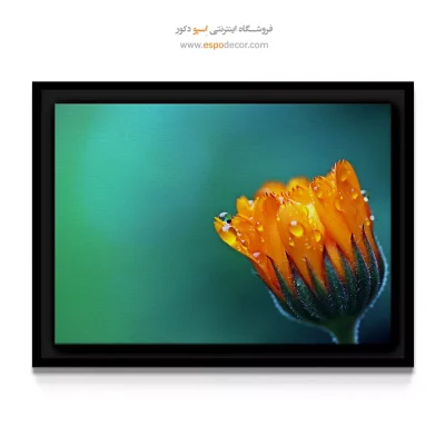 دکور فضای آشپزخانه و صبحانه - همیشه بهار – تابلو گل - اسپو دکور