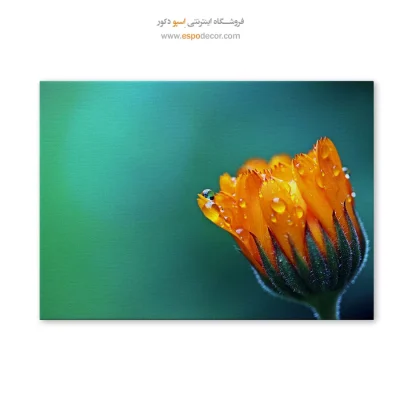 تابلو گل