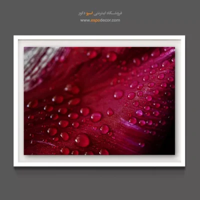 تابلو مناسب سالن اسپا و زیبایی - گلبرگ انتزاعی – تابلو گل - اسپو دکور